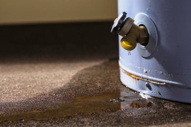 Best Fire Damage Restoration  in Kirkwood, MO