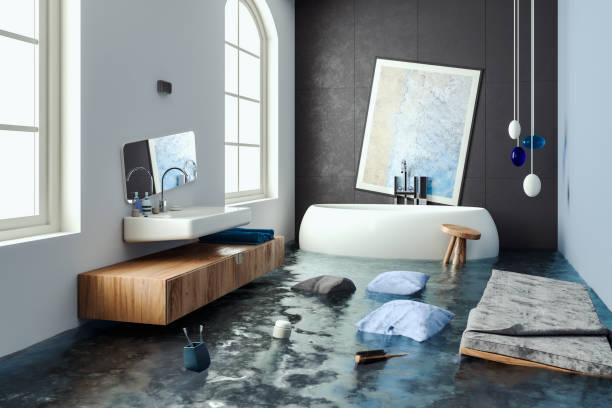 Professional Water damage restoration in Kirkwood, MO