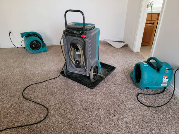 Best Commercial water damage restoration  in Kirkwood, MO