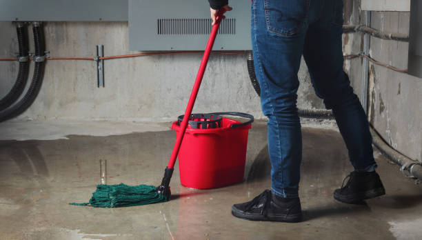 Best Basement water damage restoration  in Kirkwood, MO