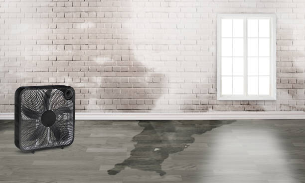 Best Water damage restoration insurance claims  in Kirkwood, MO