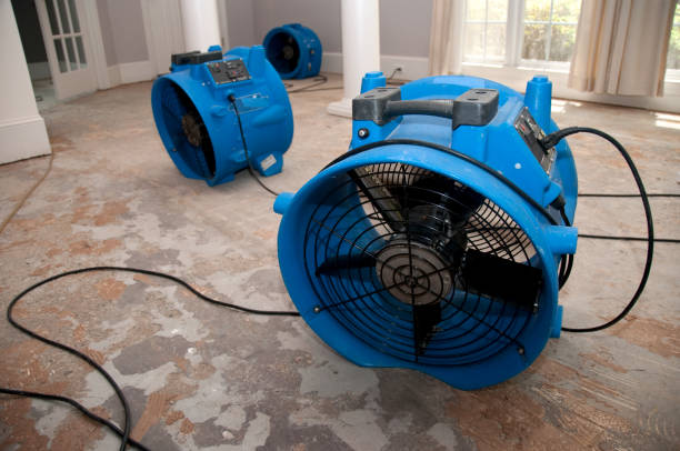 Water damage restoration insurance claims in Kirkwood, MO