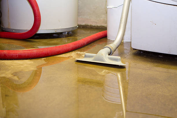 Best 24-hour water damage restoration  in Kirkwood, MO