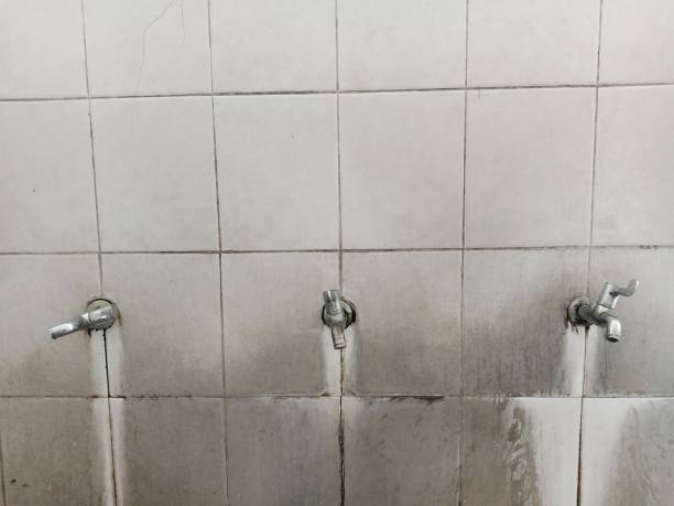 Best Professional water damage repair  in Kirkwood, MO