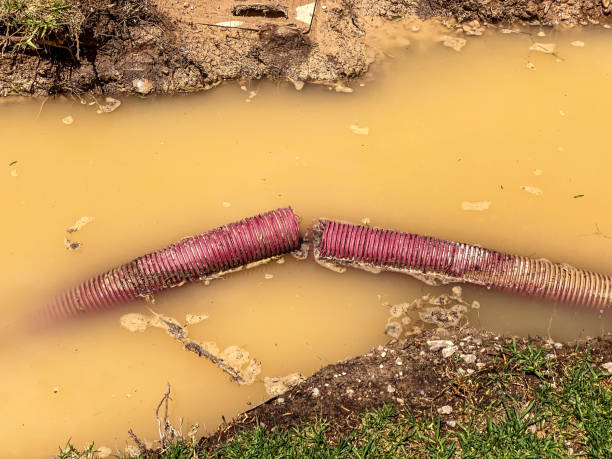 Best Water damage repair service  in Kirkwood, MO