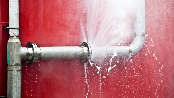 Best 24/7 water damage repair  in Kirkwood, MO